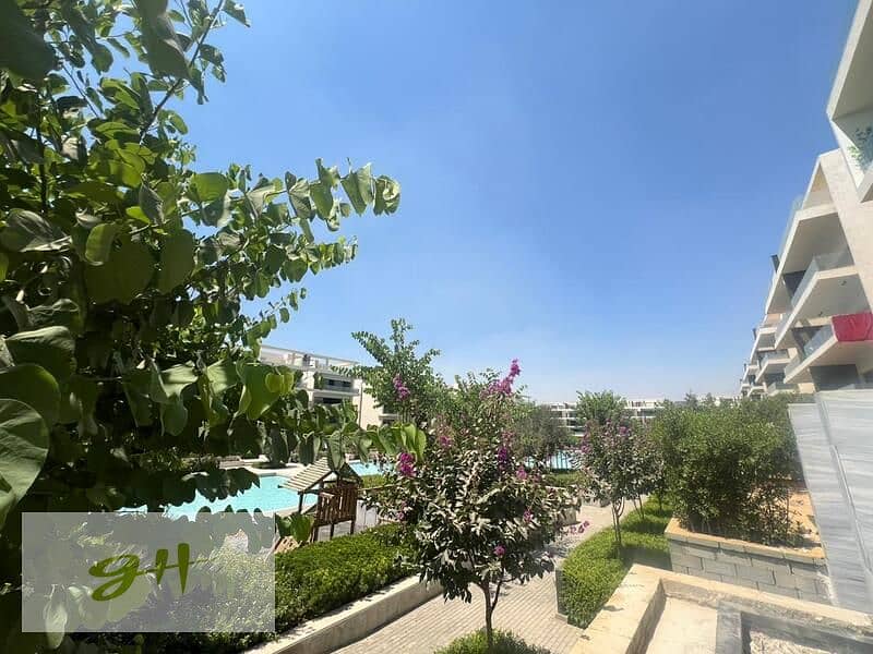 12 476352756_122123805902408564_6820121840768078968_n. jpg