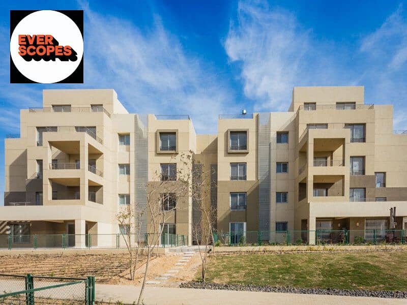 9 2020-11-07 (5). jpg