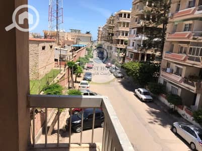 2 Bedroom Flat for Sale in Maamoura, Alexandria - WhatsApp Image 2025-11-29 at 14.51. 32 (4). jpeg