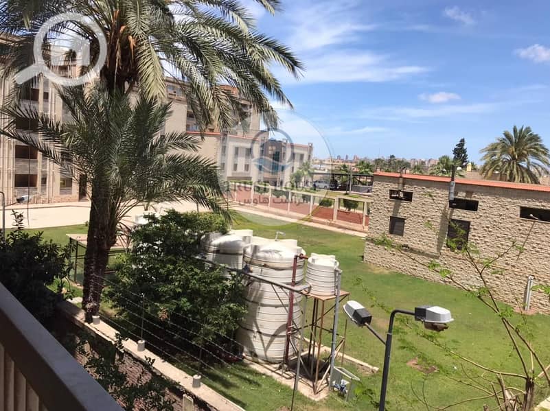 11 WhatsApp Image 2025-11-29 at 14.51. 32. jpeg