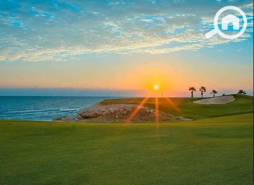 5 c10320b4-8b19-480a-841a-c1504930b5f2. jpeg