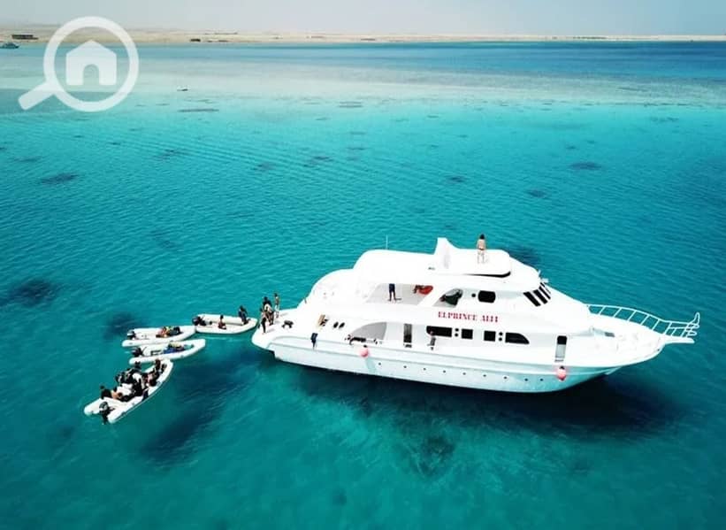 10 816941c0-a941-4cf8-a1d3-be67404cc2c8. jpeg