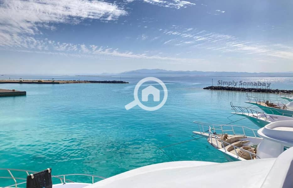 6 WhatsApp Image 2024-04-17 at 20.50. 13_ba3aaf05. jpg