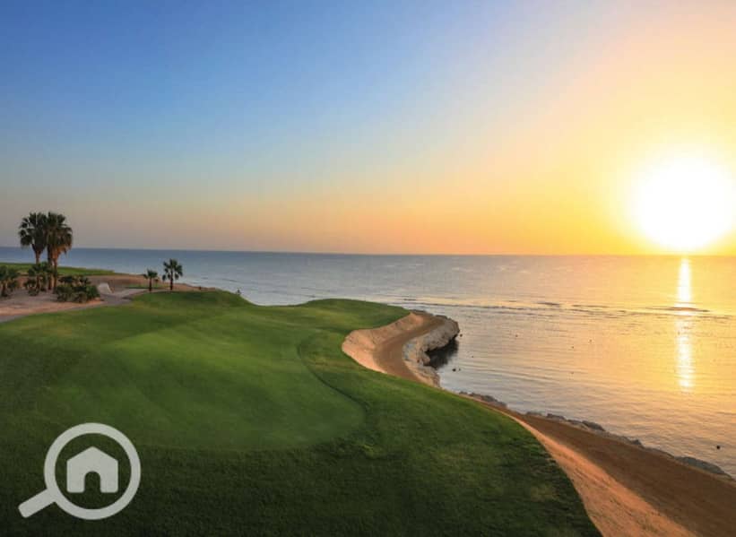 4 5dde9397-cd34-485a-9f0c-c0355be96be3. jpeg