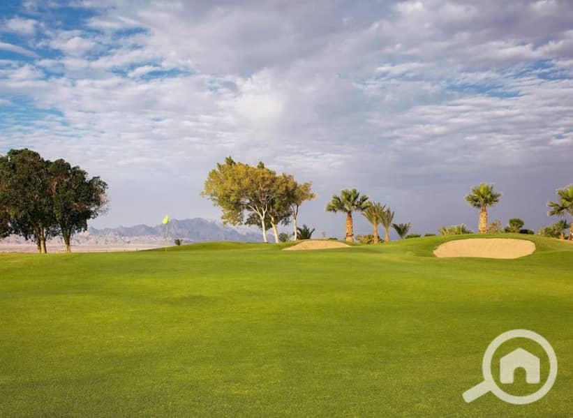 9 ed4f5c65-1e20-46de-ab64-0e29438a6b58. jpeg