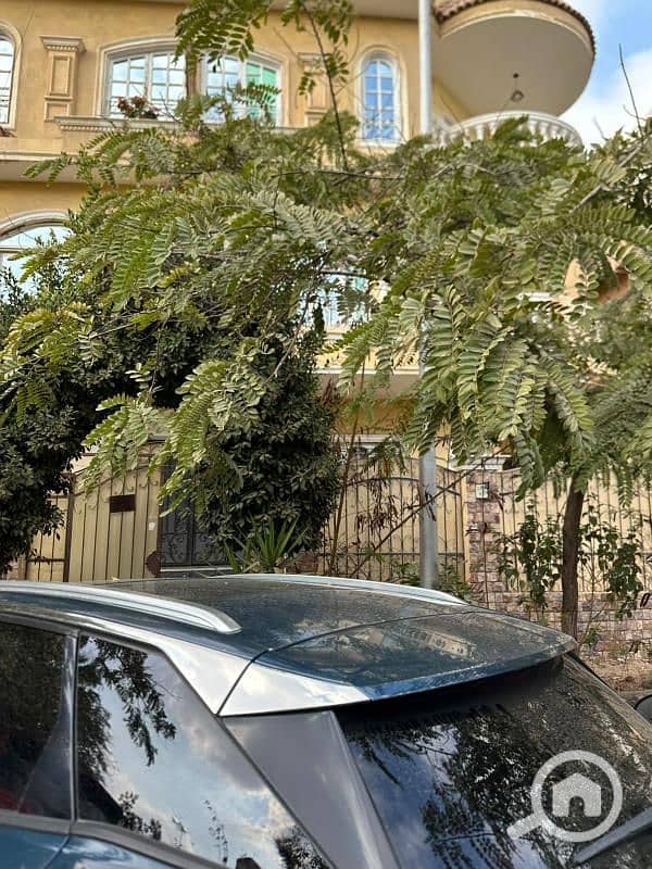 10 f76532d6-fd34-4267-ab18-c6cab379768e. jfif. jpg