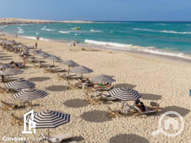 4 Untitled design - 2023-10-16T144741.409 (2). png