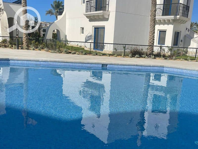 4 Untitled design - 2023-07-16T123636.768. png