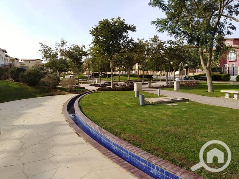 6 64286154_2422661667752474_1163665386772627456_n. jpg