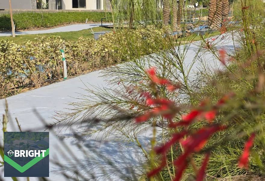 5 aaf3467c-b2b1-4051-8617-f7545bb2ad97. jpg