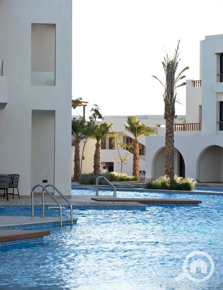 12 557644476_122154454700606769_885256149654236484_n. jpg