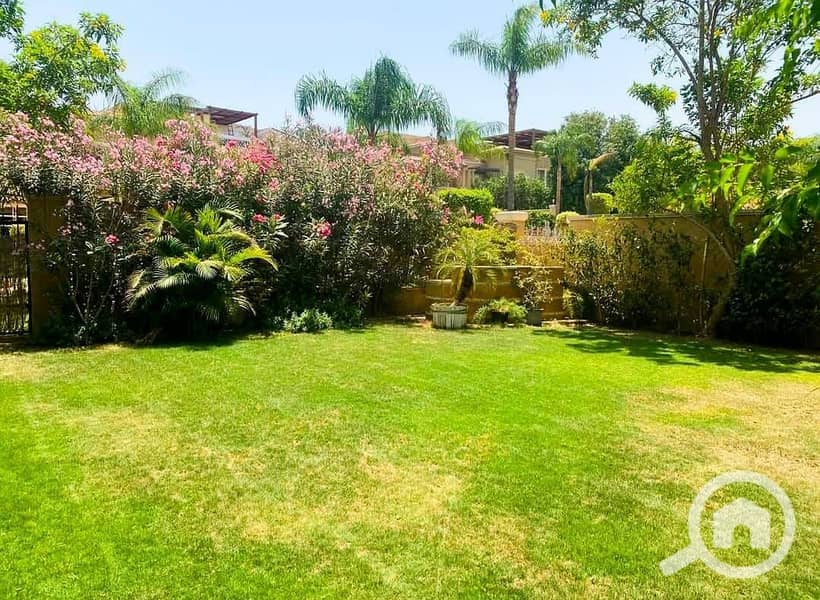 8 91ea0994-5de3-46e9-9c94-7cc8d13ce49a. jpeg