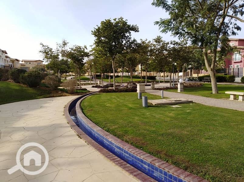 4 64286154_2422661667752474_1163665386772627456_n. jpg