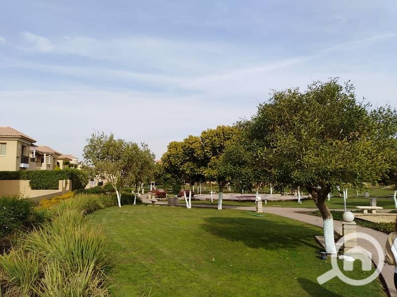 5 64562467_2422661591085815_8458514588516745216_n. jpg