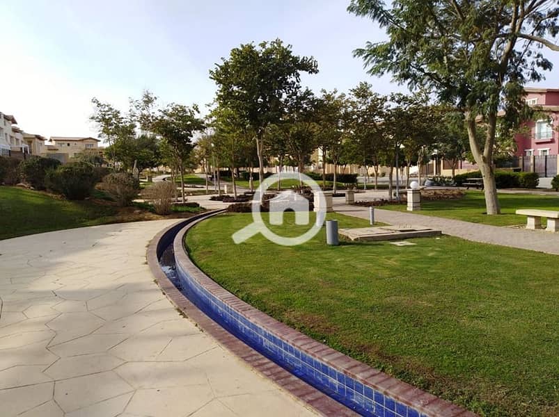 11 64286154_2422661667752474_1163665386772627456_n. jpg