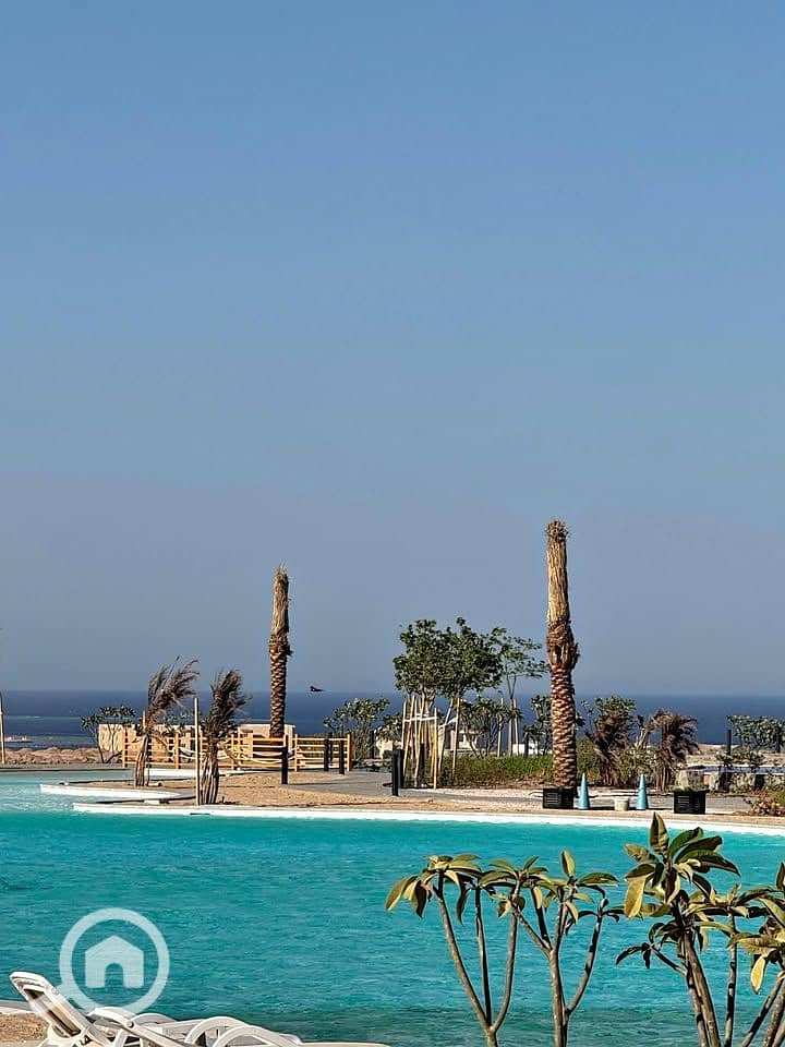 17 569199386_1433634341698757_8291935905062044012_n. jpg