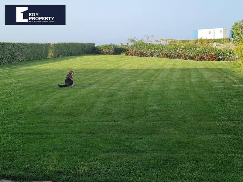 3 WhatsApp Image 2026-01-18 at 4.15. 39 AM. jpeg