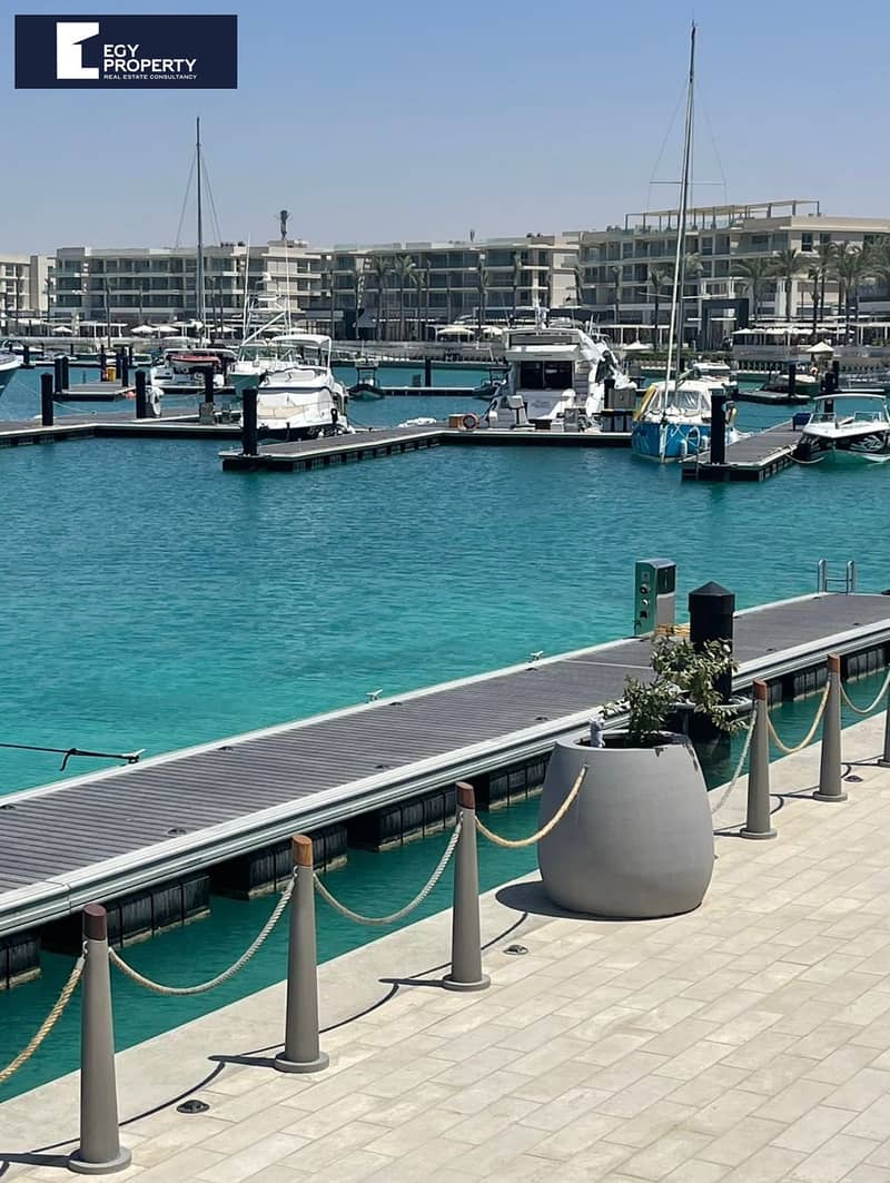 8 WhatsApp Image 2026-01-17 at 2.56. 28 PM. jpeg