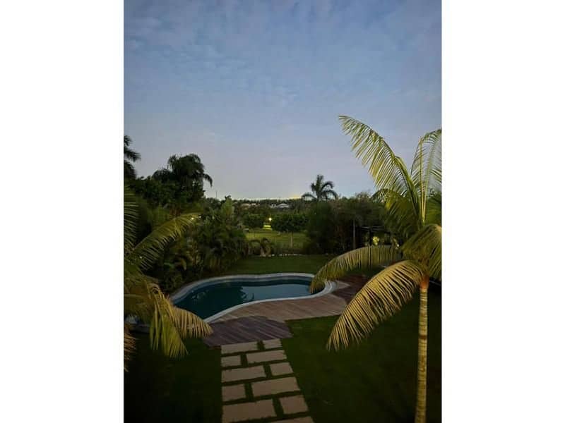 5 3f9e3f7e-ca31-4333-bb6d-f174ef3addd9. jpg