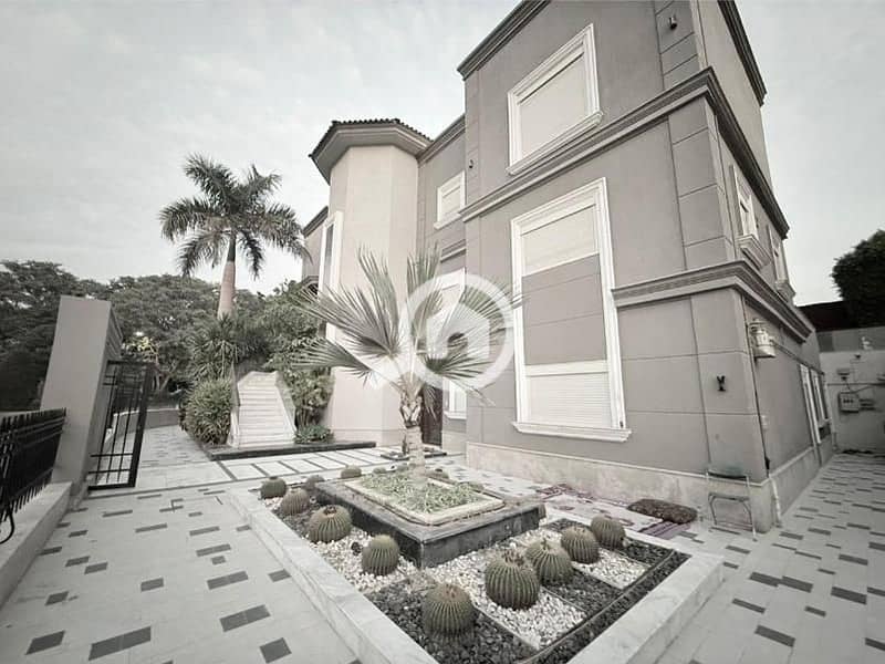 14 b55bc257-edb7-4d32-8c6b-84e0a3da8455. jpg