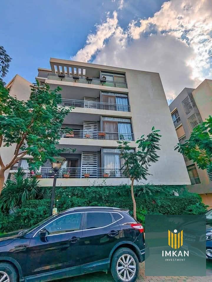 10 558932514_122138250920930283_4536375054766519007_n. jpg