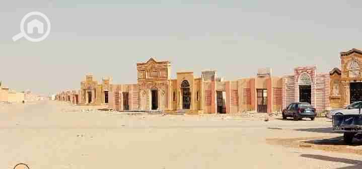 6 IMG_٢٠٢٦٠١١٩_٠٠١٧٤٧. jpg