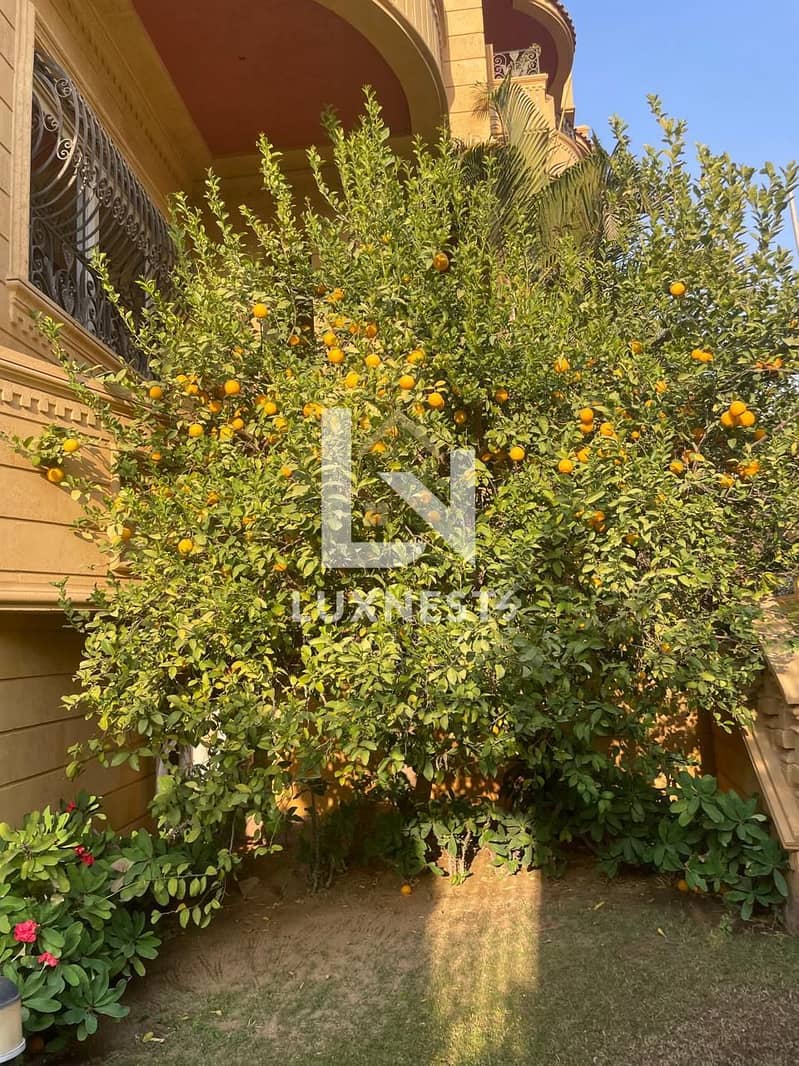 7 WhatsApp Image 2026-01-15 at 7.44. 32 PM. jpeg