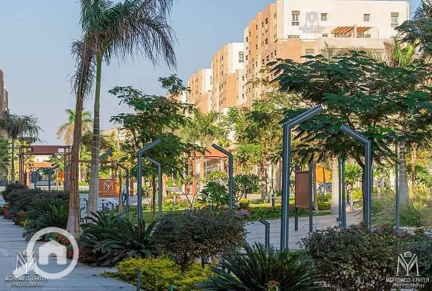 13 WhatsApp Image 2024-12-17 at 04.49. 15_6b22b41c. jpg