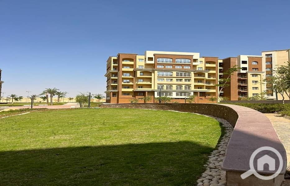 2 WhatsApp Image 2024-07-10 at 14.58. 42_1ebe6caa. jpg