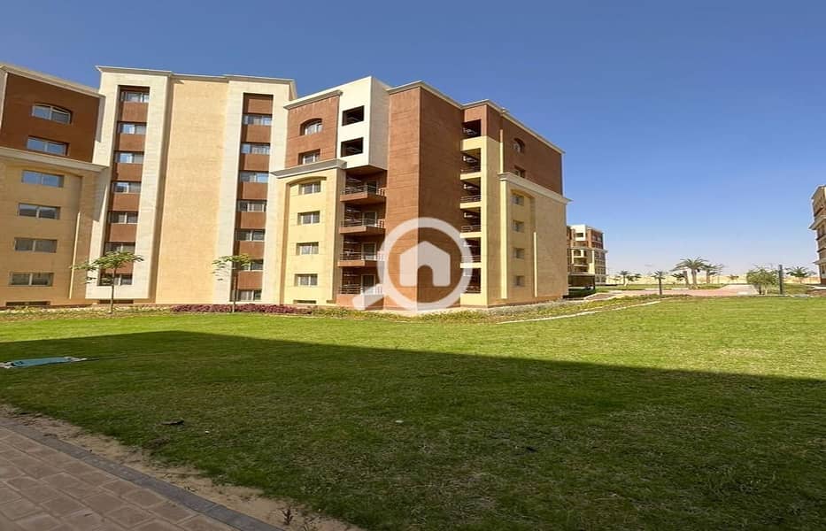 7 WhatsApp Image 2024-07-10 at 14.58. 43_19eef27d. jpg