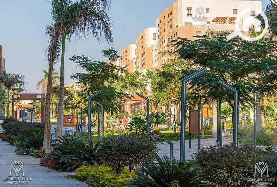 13 WhatsApp Image 2024-12-17 at 04.49. 15_6b22b41c. jpg