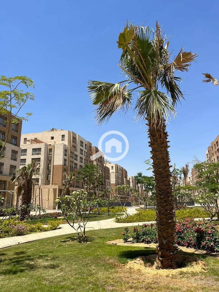 10 WhatsApp Image 2024-12-17 at 04.49. 14_b8a8b79d. jpg