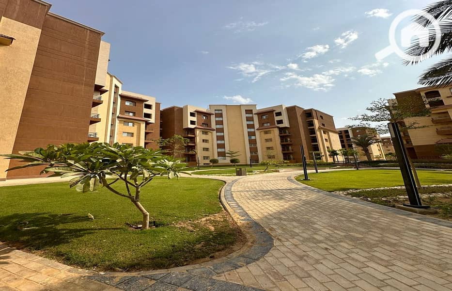 6 WhatsApp Image 2024-07-10 at 14.58. 41_6e00a24c. jpg