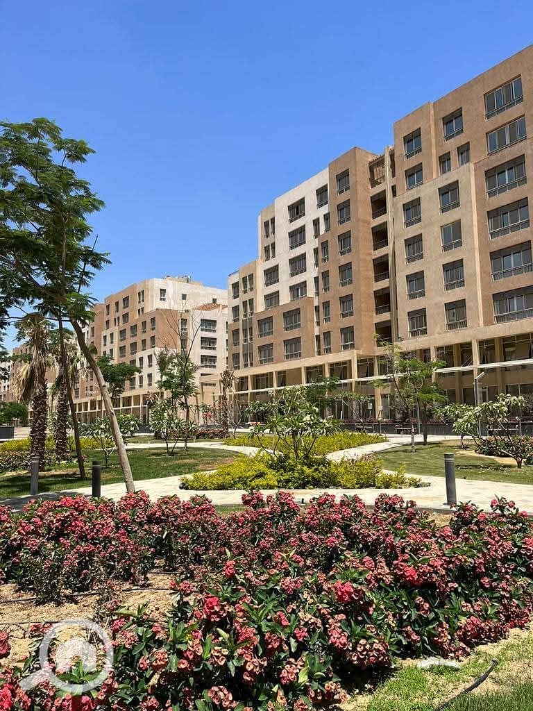 12 WhatsApp Image 2024-12-17 at 04.49. 14_f75e3fb3. jpg