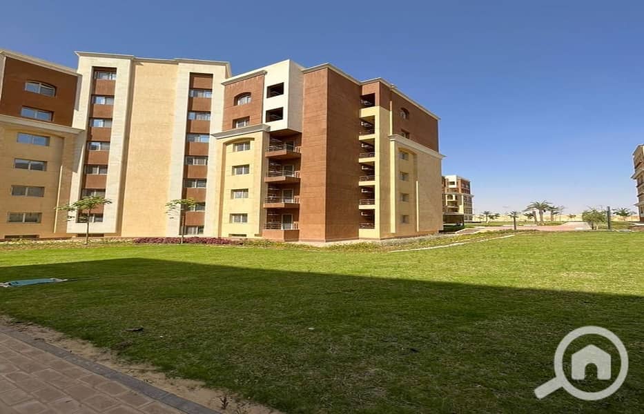 8 WhatsApp Image 2024-07-10 at 14.58. 43_19eef27d. jpg