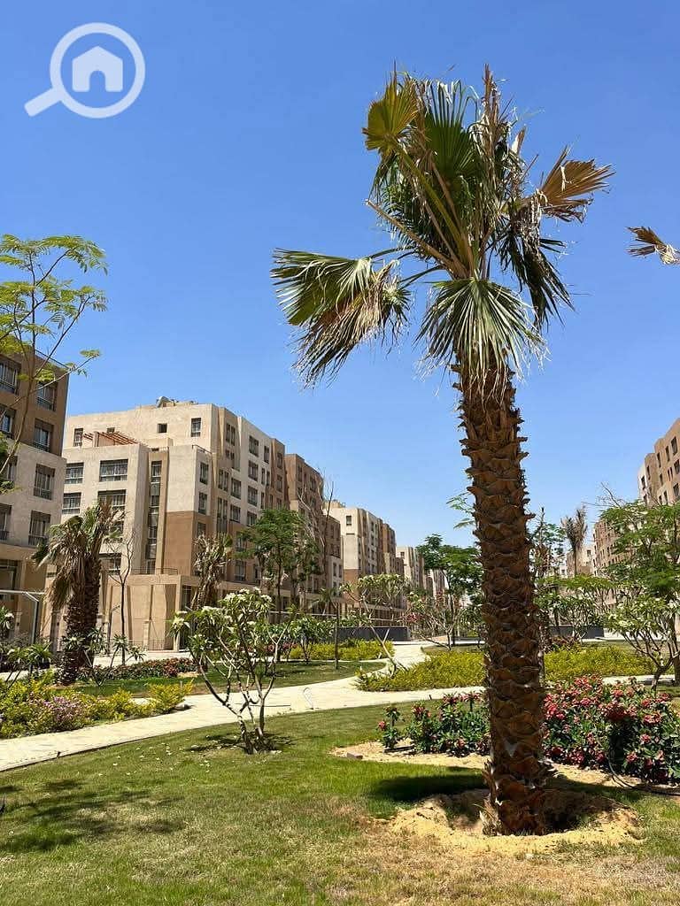 10 WhatsApp Image 2024-12-17 at 04.49. 14_b8a8b79d. jpg