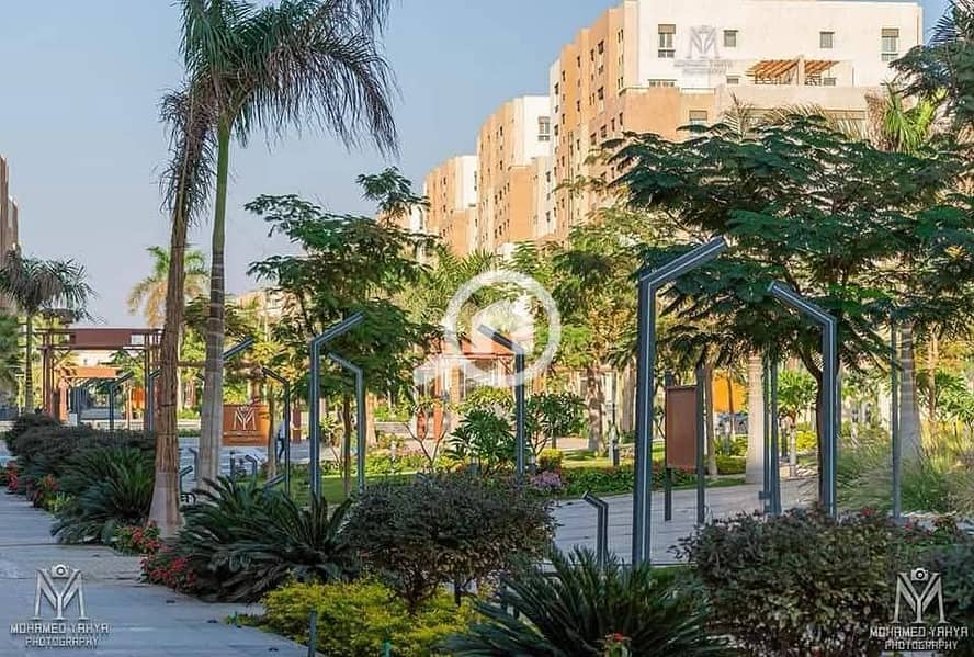 13 WhatsApp Image 2024-12-17 at 04.49. 15_6b22b41c. jpg