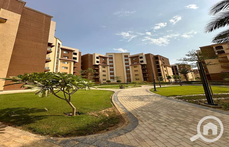 5 WhatsApp Image 2024-07-10 at 14.58. 41_6e00a24c. jpg