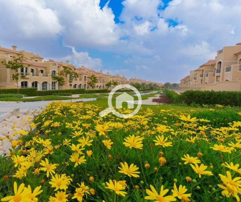 10 lavista city1 (8). png