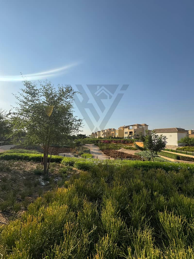 3 WhatsApp Image 2025-08-06 at 11.11. 13 AM. jpeg