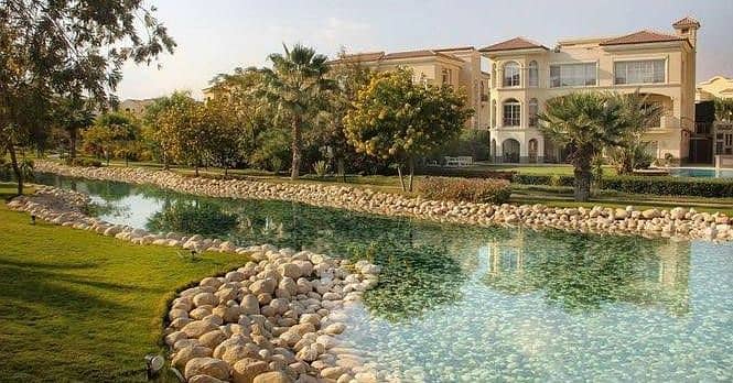 6 4646420-91c4ao1111111111111111144444444444. jpg