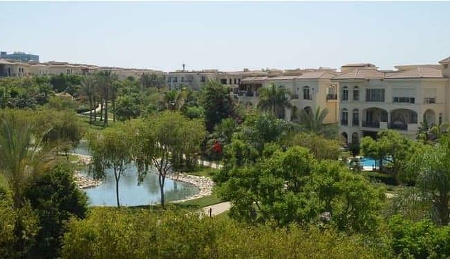 7 16512830-600x450444444444444444444. jpeg