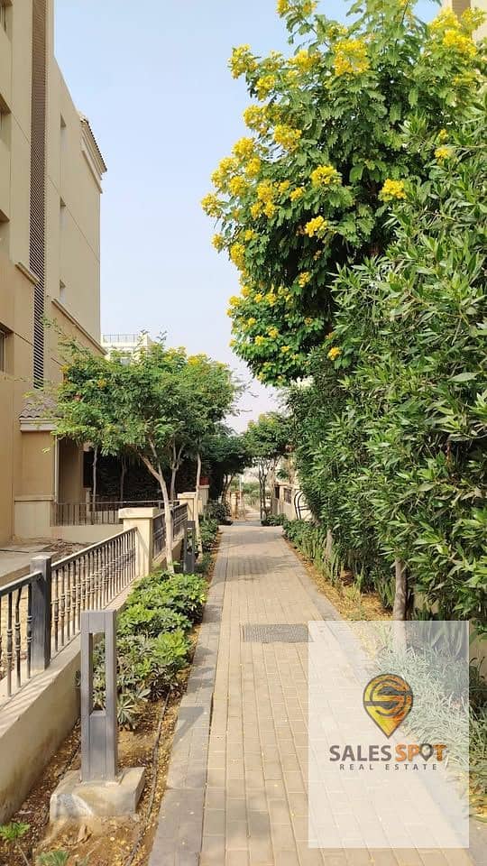 4 574690248_1201056575196555_6500935080830180661_n. jpg