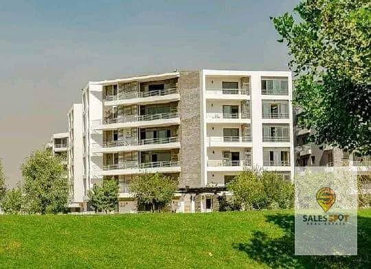 11 362653615_6813441895340957_5081653735965747266_n. jpg