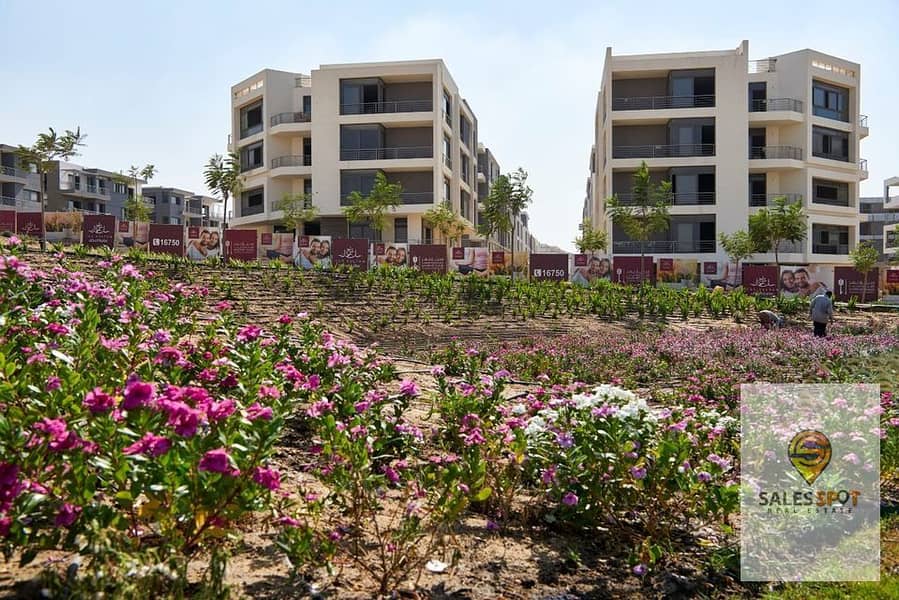 12 406705770_1098450344853637_3151736299609811467_n. jpg