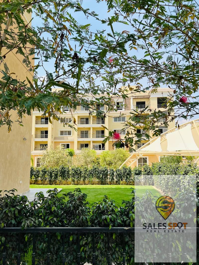 5 461639178_1229531494751916_1404034926659622791_n (1). jpg