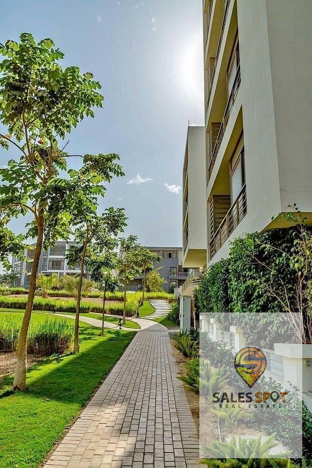 12 491381288_3823248157892628_3509732213601079071_n. jpg