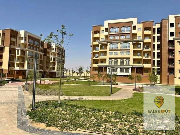 10 415958693_1137050230618649_8220312716916565393_n. jpg