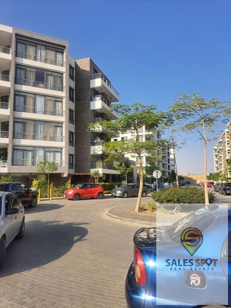 12 480293402_3464319087209519_4222888101988125734_n. jpg