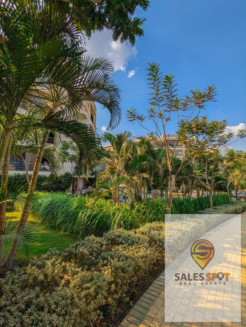 14 486260386_3865763390403177_3801838551905618218_n. jpg